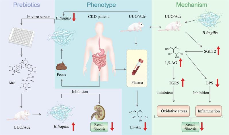 https://cdn.ncbi.nlm.nih.gov/pmc/blobs/348f/9568537/d8761e2538ed/41467_2022_33824_Fig8_HTML.jpg