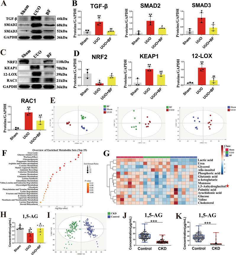 https://cdn.ncbi.nlm.nih.gov/pmc/blobs/348f/9568537/fdcaee129aa7/41467_2022_33824_Fig2_HTML.jpg