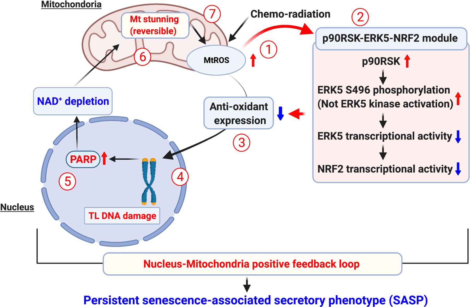https://cdn.ncbi.nlm.nih.gov/pmc/blobs/3492/9258520/e3ebbded90c2/nihms-1804629-f0002.jpg