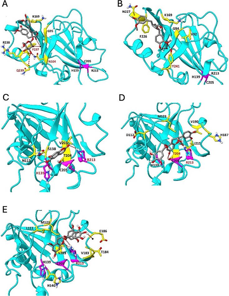 https://cdn.ncbi.nlm.nih.gov/pmc/blobs/3493/12403815/84107e10023c/spectrum.00693-25.f001.jpg