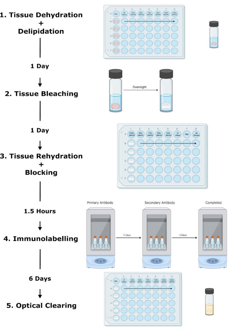 https://cdn.ncbi.nlm.nih.gov/pmc/blobs/3494/10543858/4959ad7bbb37/13104_2023_6511_Fig1_HTML.jpg