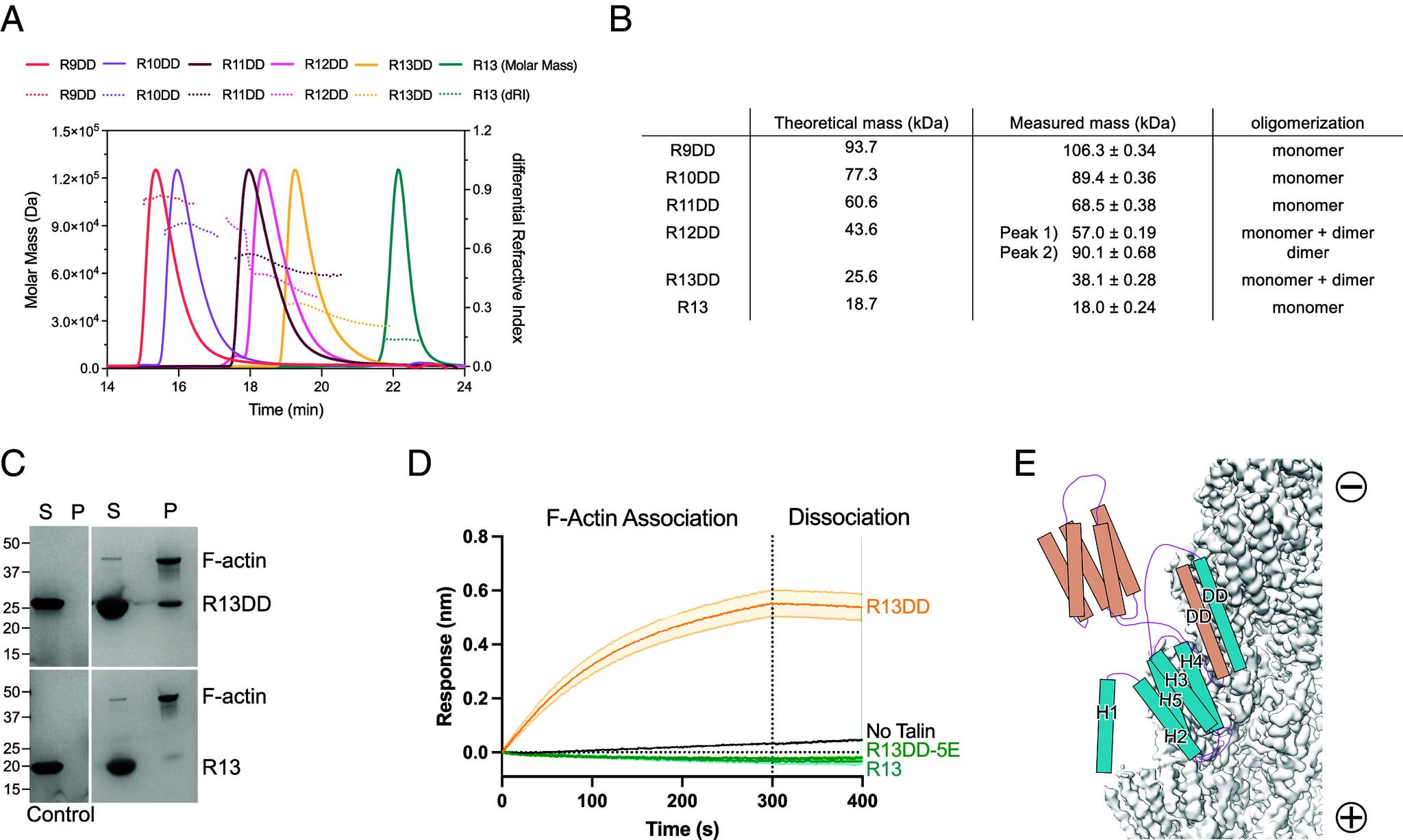 https://cdn.ncbi.nlm.nih.gov/pmc/blobs/3494/11831117/53ba515bf664/pnas.2405922122fig03.jpg