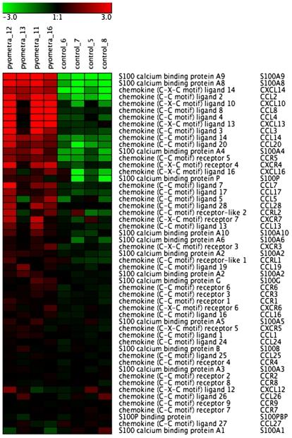 https://cdn.ncbi.nlm.nih.gov/pmc/blobs/3495/2777310/42afd8a6d723/pone.0008039.g001.jpg