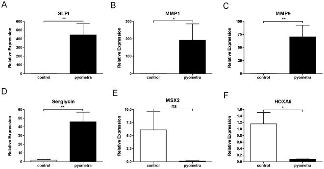https://cdn.ncbi.nlm.nih.gov/pmc/blobs/3495/2777310/4e1b0d817dae/pone.0008039.g005.jpg