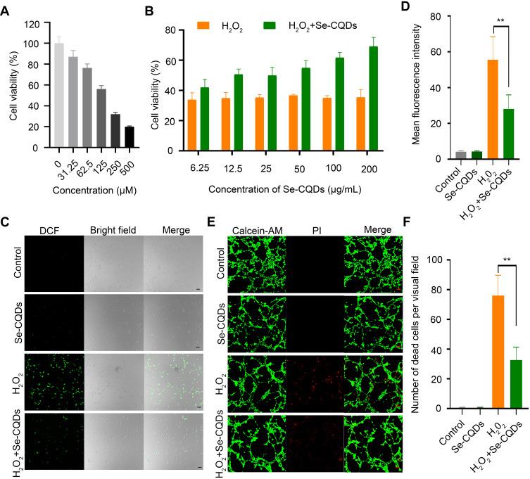 https://cdn.ncbi.nlm.nih.gov/pmc/blobs/3495/7754097/68a104d8de99/IJN-15-10113-g0003.jpg