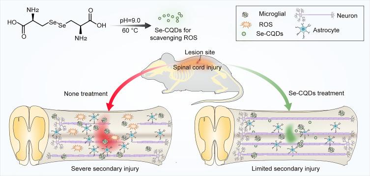 https://cdn.ncbi.nlm.nih.gov/pmc/blobs/3495/7754097/7ba6179331d1/IJN-15-10113-g0001.jpg