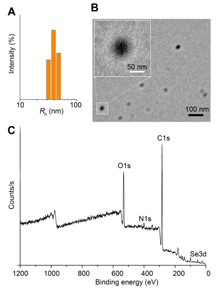 https://cdn.ncbi.nlm.nih.gov/pmc/blobs/3495/7754097/96e741aa2878/IJN-15-10113-g0002.jpg