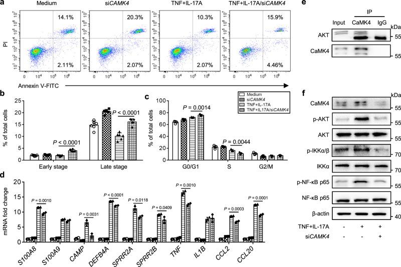 https://cdn.ncbi.nlm.nih.gov/pmc/blobs/3496/9307837/3793b5d25900/41467_2022_31935_Fig8_HTML.jpg