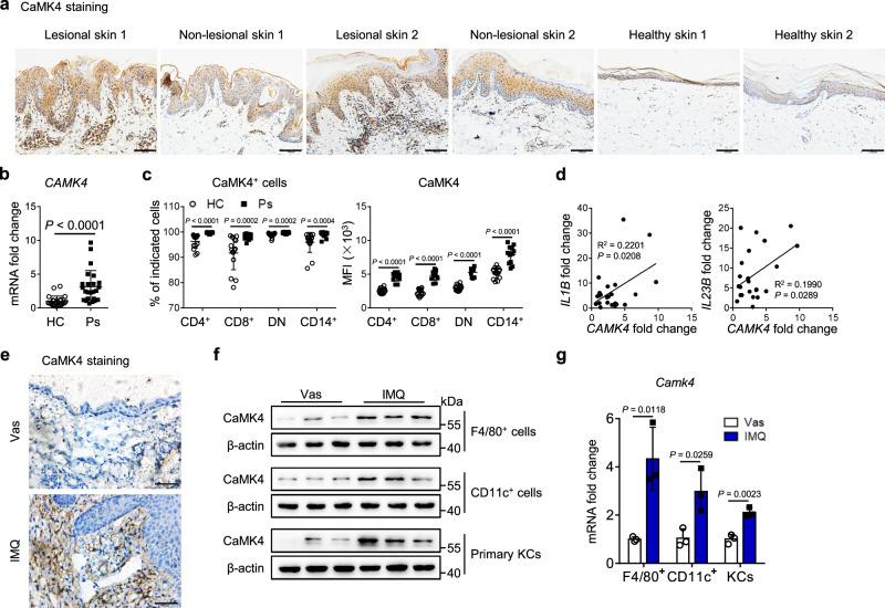https://cdn.ncbi.nlm.nih.gov/pmc/blobs/3496/9307837/68198a5d2c0d/41467_2022_31935_Fig1_HTML.jpg