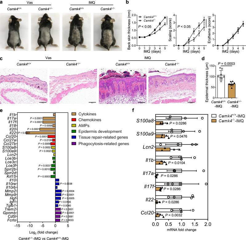 https://cdn.ncbi.nlm.nih.gov/pmc/blobs/3496/9307837/75b35cc00a7c/41467_2022_31935_Fig2_HTML.jpg