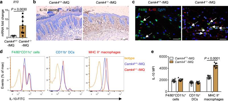 https://cdn.ncbi.nlm.nih.gov/pmc/blobs/3496/9307837/d863fc9e530b/41467_2022_31935_Fig4_HTML.jpg