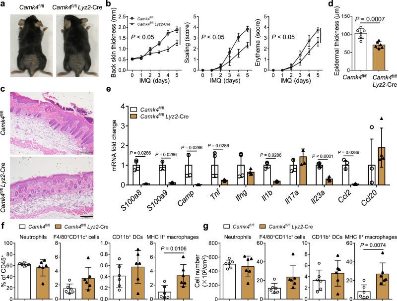 https://cdn.ncbi.nlm.nih.gov/pmc/blobs/3496/9307837/de2a514e9656/41467_2022_31935_Fig7_HTML.jpg