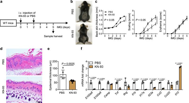 https://cdn.ncbi.nlm.nih.gov/pmc/blobs/3496/9307837/ee012b13638a/41467_2022_31935_Fig9_HTML.jpg