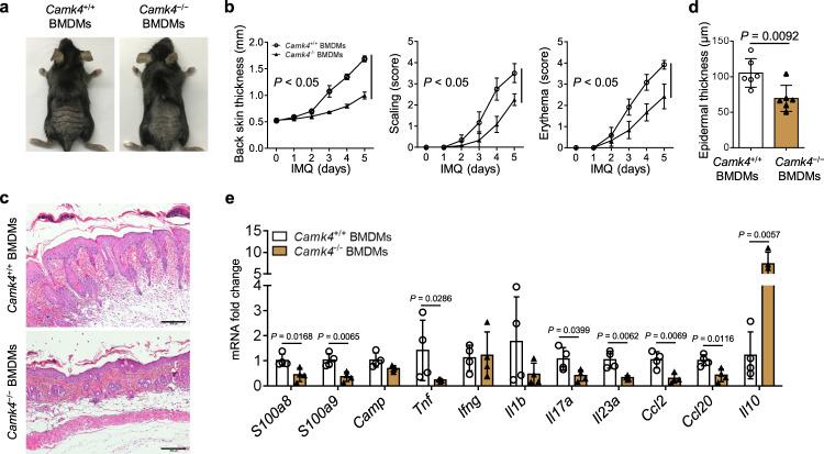 https://cdn.ncbi.nlm.nih.gov/pmc/blobs/3496/9307837/f86472510be5/41467_2022_31935_Fig6_HTML.jpg