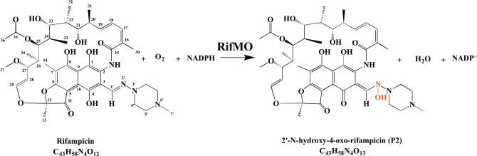 https://cdn.ncbi.nlm.nih.gov/pmc/blobs/3499/5051949/5074f19dfeaa/pone.0162578.g001.jpg