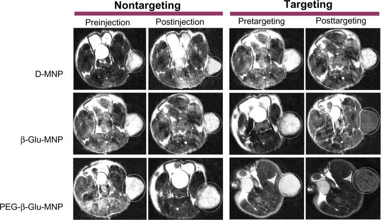 https://cdn.ncbi.nlm.nih.gov/pmc/blobs/349a/4061166/46efc293d59c/ijn-9-2905Fig7.jpg