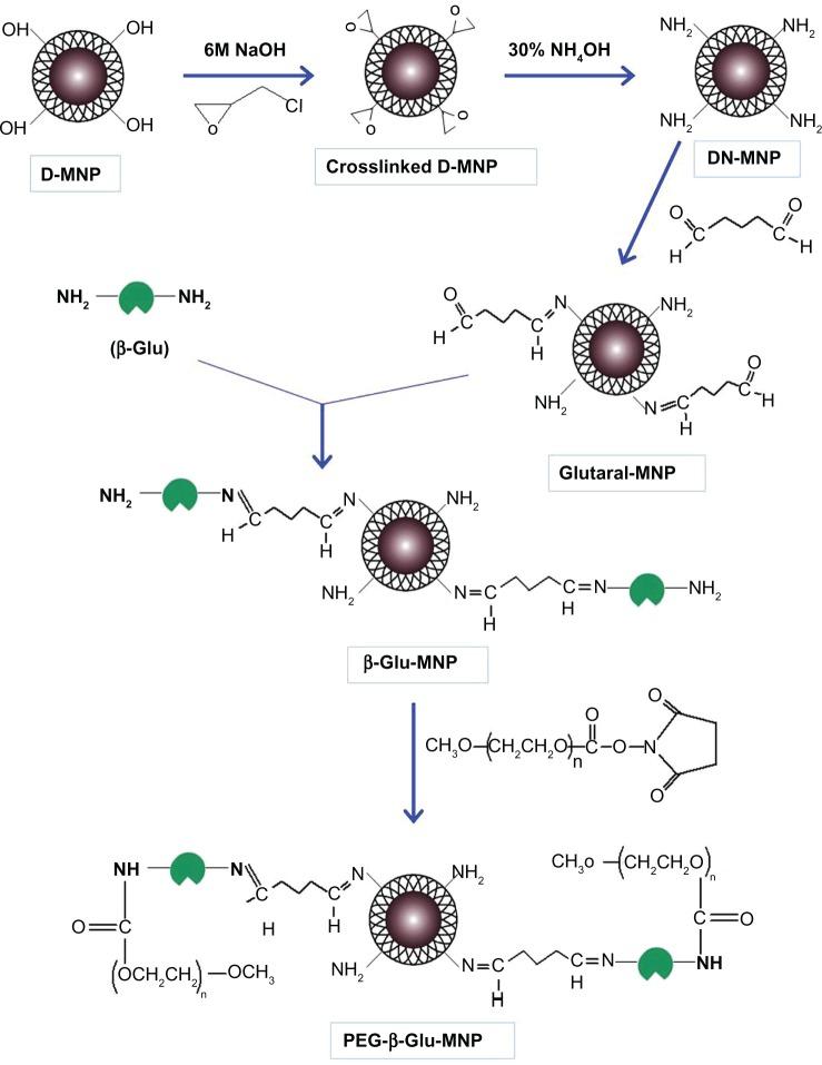 https://cdn.ncbi.nlm.nih.gov/pmc/blobs/349a/4061166/7302309d369d/ijn-9-2905Fig1.jpg