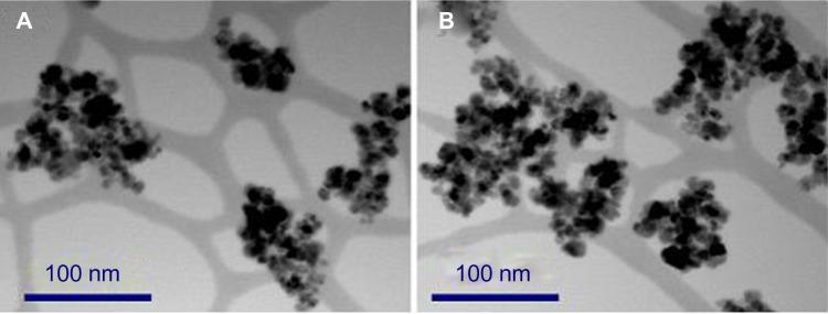 https://cdn.ncbi.nlm.nih.gov/pmc/blobs/349a/4061166/a699bfa4360a/ijn-9-2905Fig3.jpg