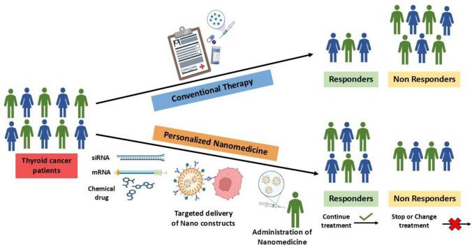 https://cdn.ncbi.nlm.nih.gov/pmc/blobs/349b/11656002/2c0c6d2b793f/12672_2024_1677_Fig3_HTML.jpg