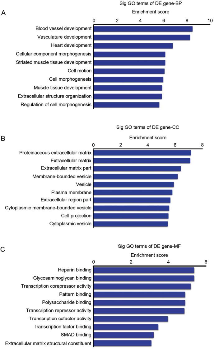 https://cdn.ncbi.nlm.nih.gov/pmc/blobs/349d/5779965/8cd7c04e9ce9/MMR-16-06-8854-g02.jpg