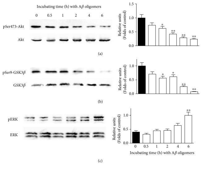 https://cdn.ncbi.nlm.nih.gov/pmc/blobs/349e/5591933/f28e66d706c5/OMCL2017-6792543.005.jpg