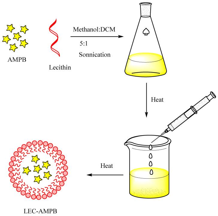 https://cdn.ncbi.nlm.nih.gov/pmc/blobs/349f/10123729/745b699ddd43/diseases-11-00058-sch001.jpg