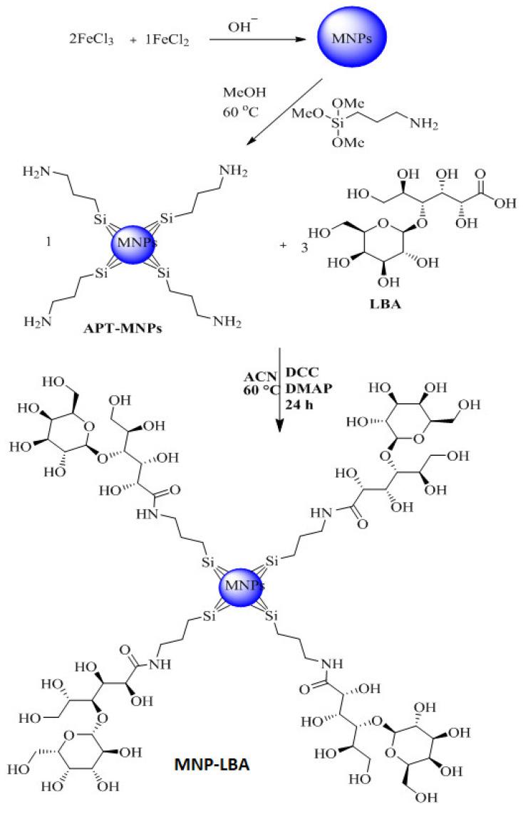 https://cdn.ncbi.nlm.nih.gov/pmc/blobs/349f/10123729/e630fe6c8a0f/diseases-11-00058-sch002.jpg