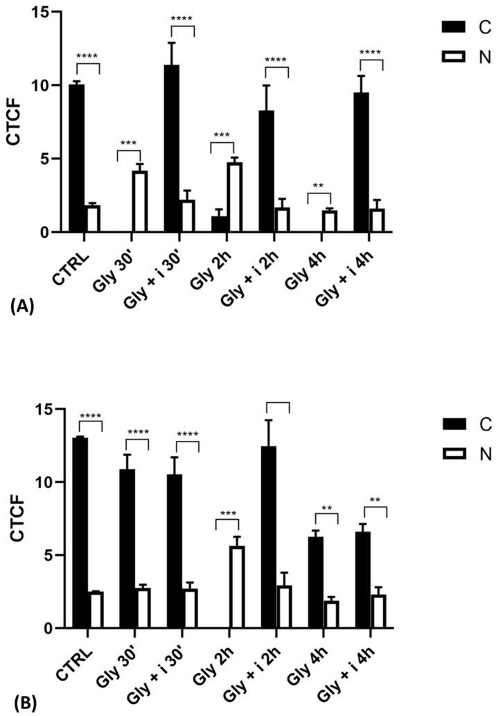https://cdn.ncbi.nlm.nih.gov/pmc/blobs/34a1/11241661/1091e6659505/ijms-25-07039-g011.jpg
