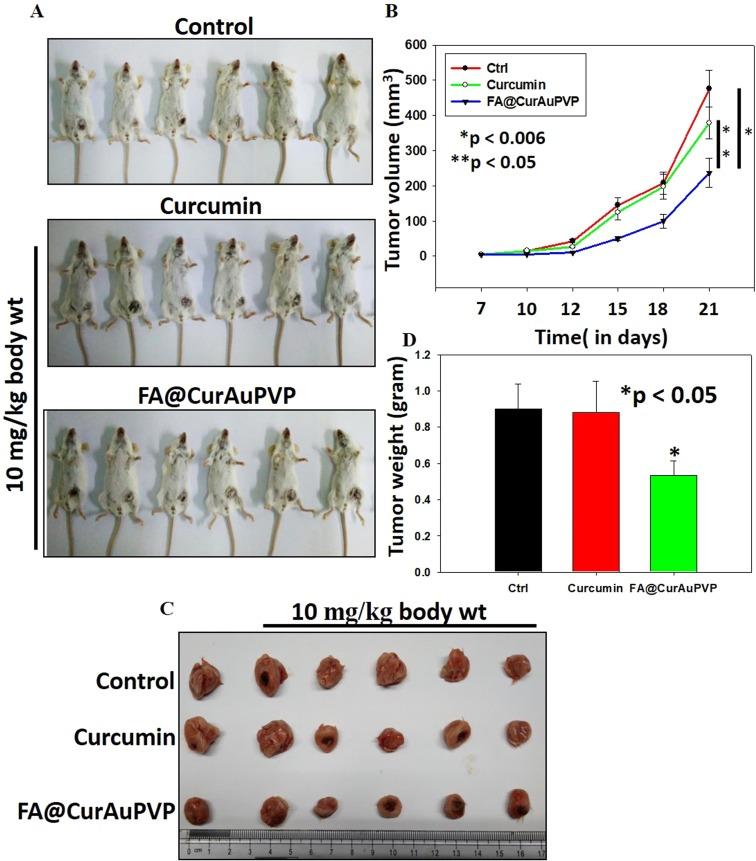 https://cdn.ncbi.nlm.nih.gov/pmc/blobs/34a1/6801194/021066ff9ef7/IJN-14-8285-g0009.jpg