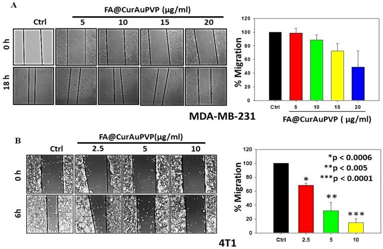 https://cdn.ncbi.nlm.nih.gov/pmc/blobs/34a1/6801194/061114796569/IJN-14-8285-g0008.jpg