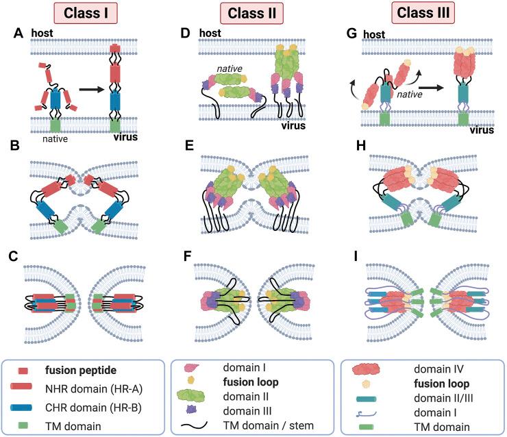 https://cdn.ncbi.nlm.nih.gov/pmc/blobs/34a2/8419435/cc260bae70ec/fchem-09-689006-g003.jpg
