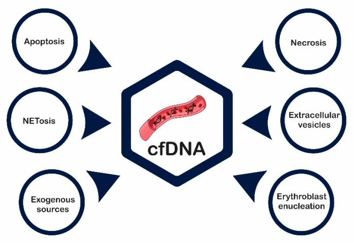https://cdn.ncbi.nlm.nih.gov/pmc/blobs/34a2/8431421/5adc8d55cc97/ijms-22-09110-g002.jpg