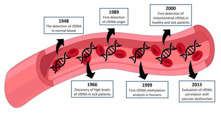 https://cdn.ncbi.nlm.nih.gov/pmc/blobs/34a2/8431421/9bc4c294a63a/ijms-22-09110-g001.jpg