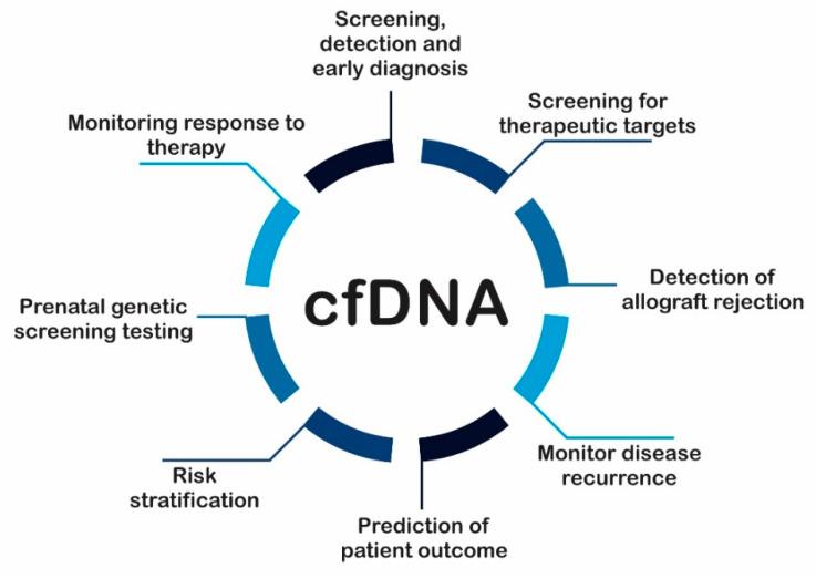 https://cdn.ncbi.nlm.nih.gov/pmc/blobs/34a2/8431421/cc394e4b7d6e/ijms-22-09110-g003.jpg