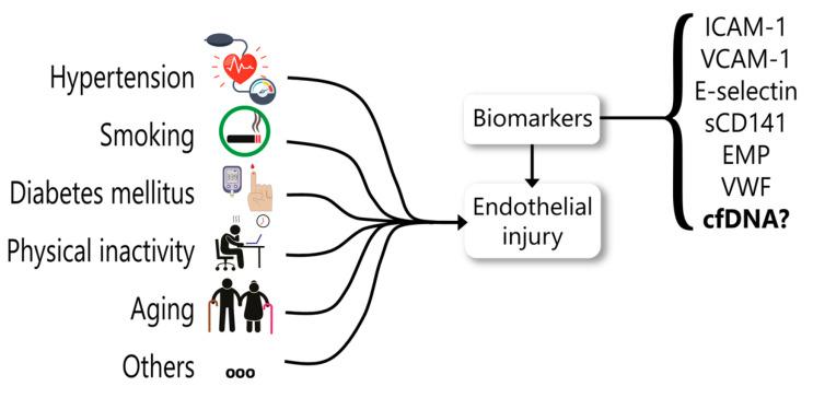 https://cdn.ncbi.nlm.nih.gov/pmc/blobs/34a2/8431421/e21fd1d13c34/ijms-22-09110-g004.jpg