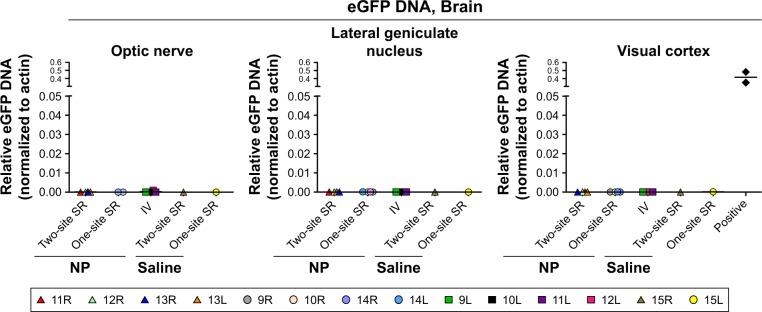 https://cdn.ncbi.nlm.nih.gov/pmc/blobs/34a3/5849385/4d01b18ee9c2/ijn-13-1361Fig7.jpg