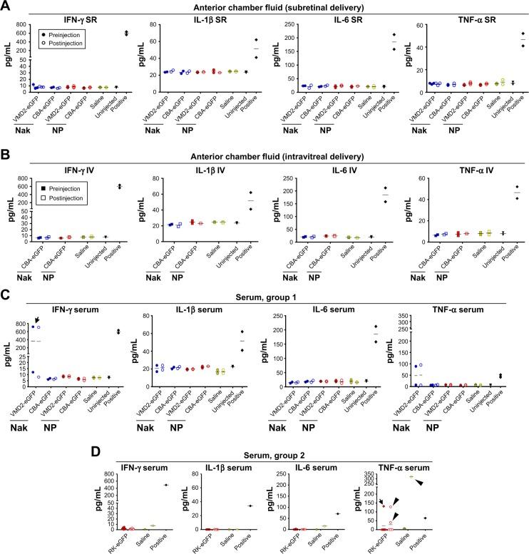 https://cdn.ncbi.nlm.nih.gov/pmc/blobs/34a3/5849385/af150de9dda0/ijn-13-1361Fig6.jpg