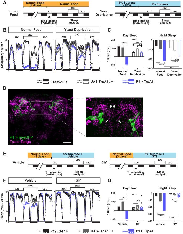 https://cdn.ncbi.nlm.nih.gov/pmc/blobs/34a3/7609064/f0957efb9a3b/elife-60853-fig4.jpg