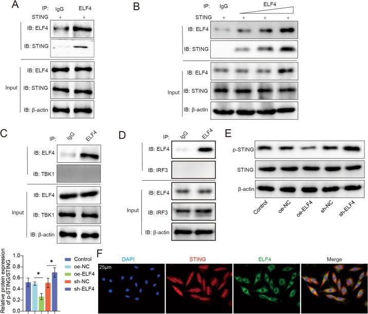 https://cdn.ncbi.nlm.nih.gov/pmc/blobs/34a6/12058945/98d77c104c4b/10565_2025_10029_Fig5_HTML.jpg
