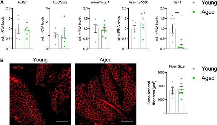 https://cdn.ncbi.nlm.nih.gov/pmc/blobs/34a7/10348470/55843369922b/dgad041f4.jpg
