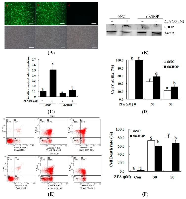 https://cdn.ncbi.nlm.nih.gov/pmc/blobs/34a8/4581325/516eb77de2e0/ijms-16-19780-g005.jpg