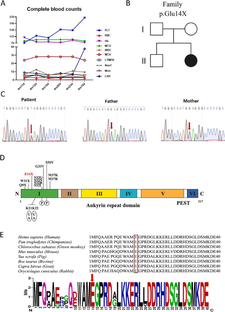 https://cdn.ncbi.nlm.nih.gov/pmc/blobs/34aa/8720704/e328d8b4ea27/gr1.jpg