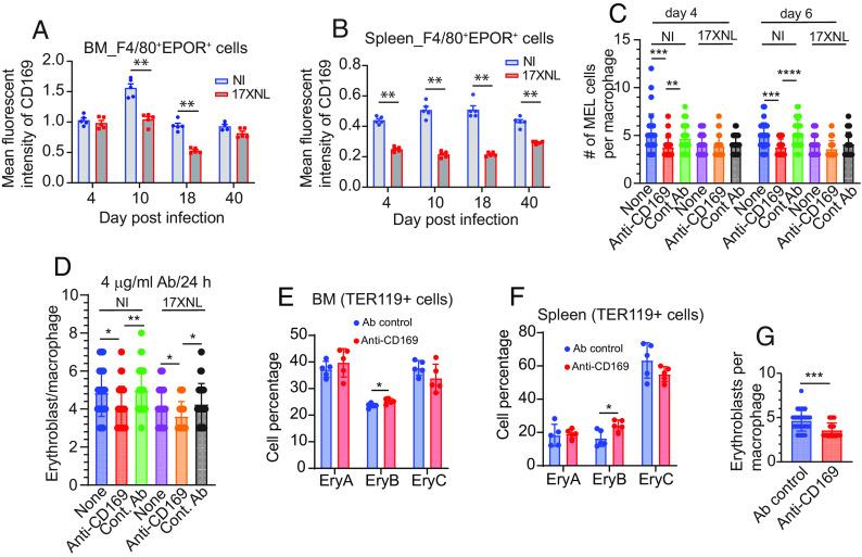 https://cdn.ncbi.nlm.nih.gov/pmc/blobs/34ab/10556621/469c57b43fc2/pnas.2311557120fig07.jpg