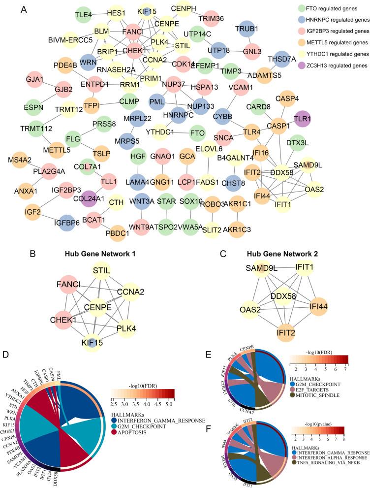 https://cdn.ncbi.nlm.nih.gov/pmc/blobs/34ae/10204300/1f49f1329b1a/12967_2023_4173_Fig4_HTML.jpg