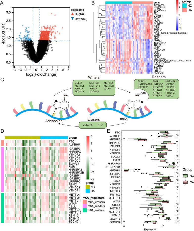 https://cdn.ncbi.nlm.nih.gov/pmc/blobs/34ae/10204300/71ae83ab3c0f/12967_2023_4173_Fig2_HTML.jpg