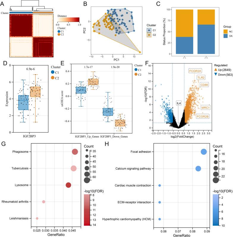 https://cdn.ncbi.nlm.nih.gov/pmc/blobs/34ae/10204300/d980b1626e7e/12967_2023_4173_Fig7_HTML.jpg