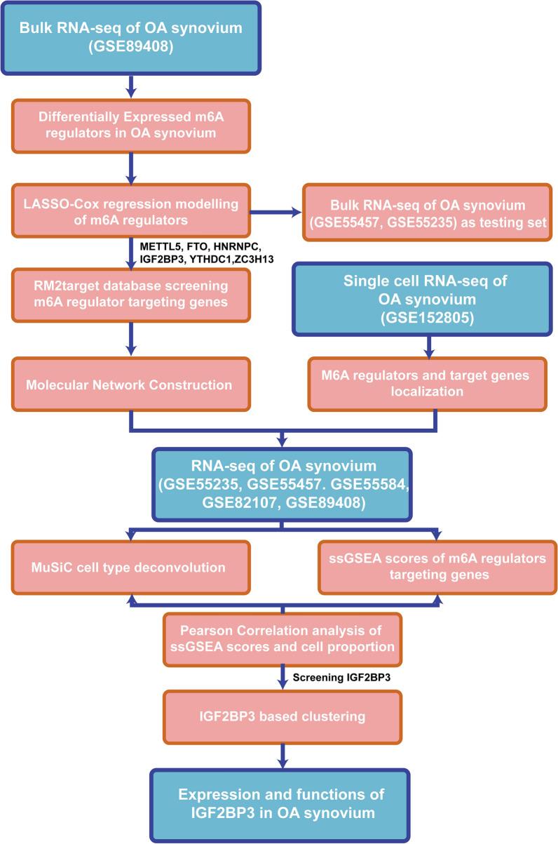 https://cdn.ncbi.nlm.nih.gov/pmc/blobs/34ae/10204300/e86f7f08fd94/12967_2023_4173_Fig1_HTML.jpg
