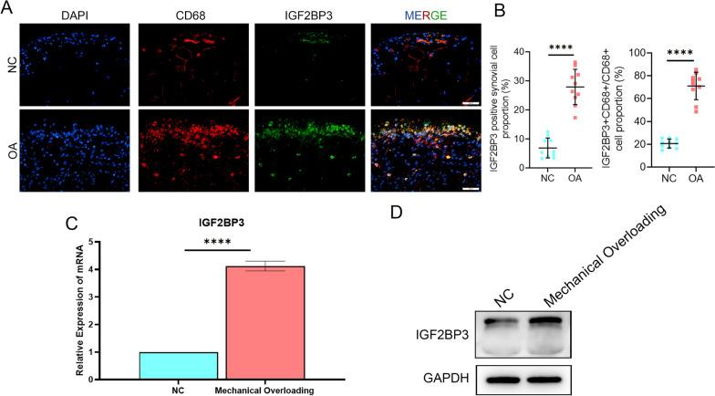 https://cdn.ncbi.nlm.nih.gov/pmc/blobs/34ae/10204300/f8464685dfe0/12967_2023_4173_Fig8_HTML.jpg