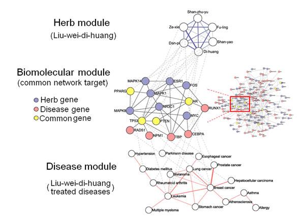 https://cdn.ncbi.nlm.nih.gov/pmc/blobs/34ae/3024874/8836084c561d/1471-2105-11-S11-S6-4.jpg