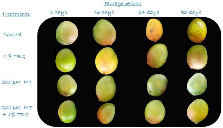 https://cdn.ncbi.nlm.nih.gov/pmc/blobs/34af/10180912/c494e1eecde2/plants-12-01887-g004.jpg